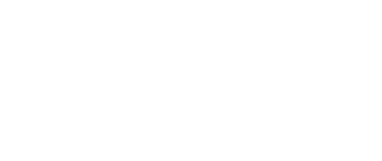 Dicha Media